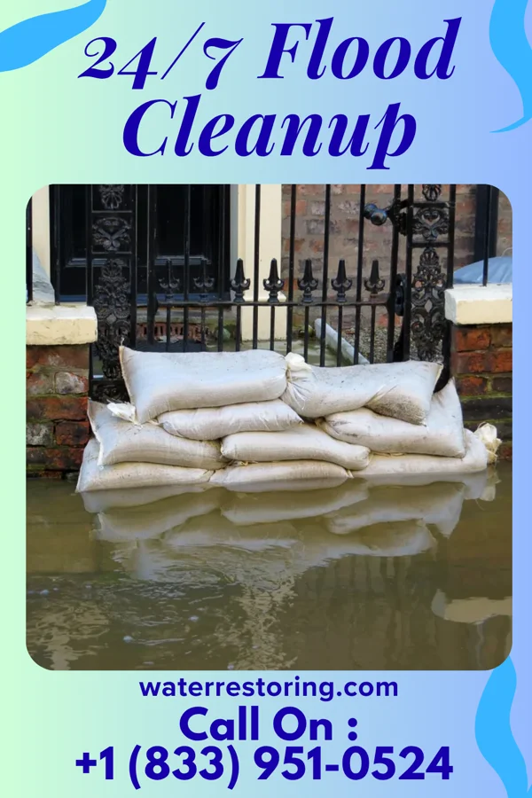 24/7 Flood Cleanup in Despard, WV