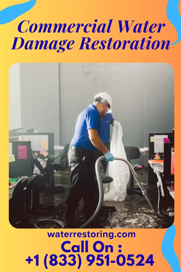 Commercial Water Damage Restoration in Despard, WV