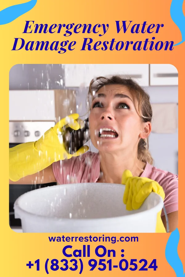 Emergency Water Damage Restoration in Despard, WV