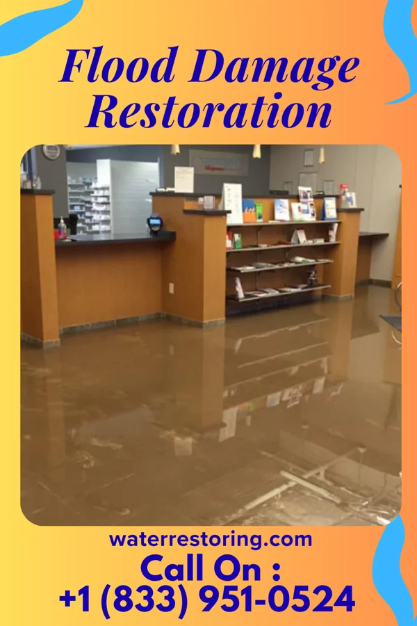 Flood Damage Restoration in Despard, WV