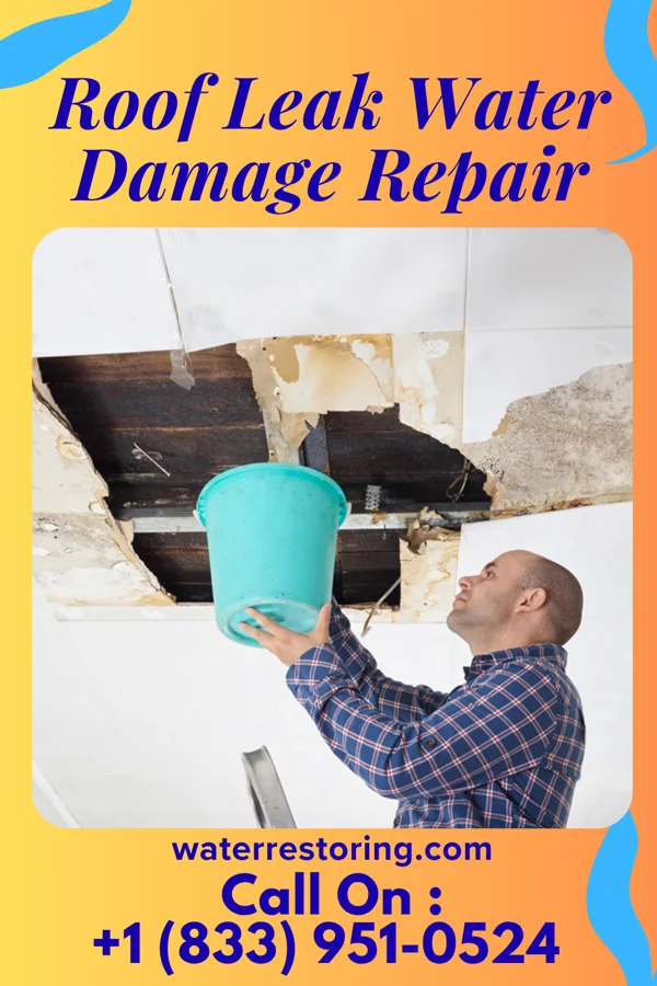 Roof Leak Water Damage Repair in Despard, WV