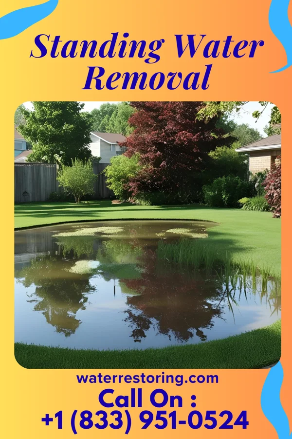Standing Water Removal in Despard, WV